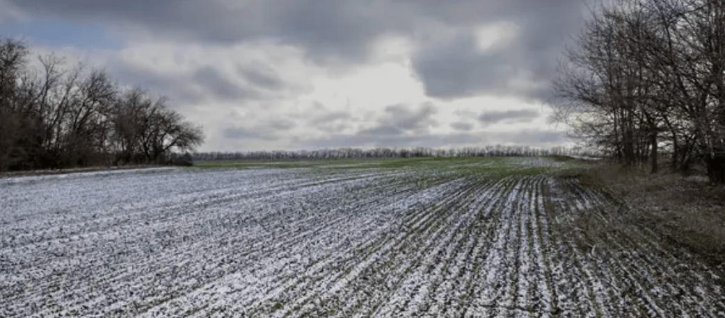 Obrázek: Analýza trhu