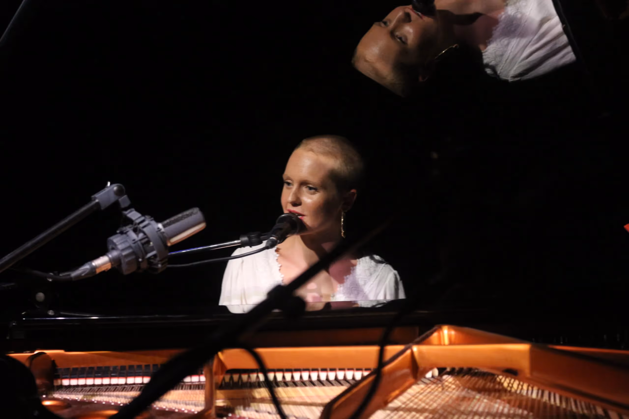 Blue Bird Special: Cara Rose (c) Klaus Totzler