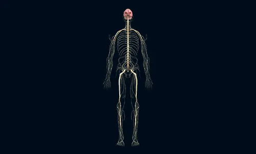 The skeleton of a person with a red eye.