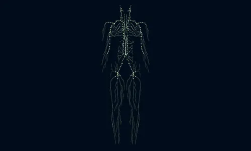 A drawing of a human body in the dark.