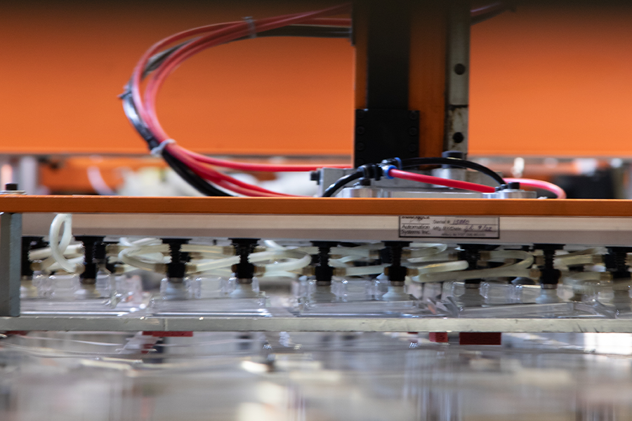 clamshell packaging being produced
