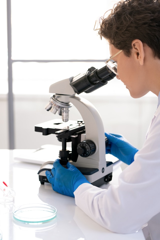 experiment with microscope