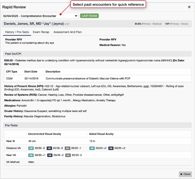 Rapid Review interface selecting past encounters for quick reference
