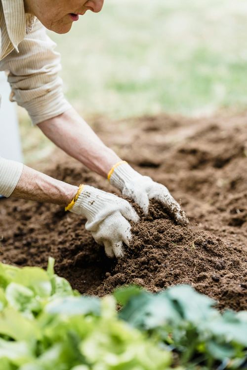 Farmer working in the field