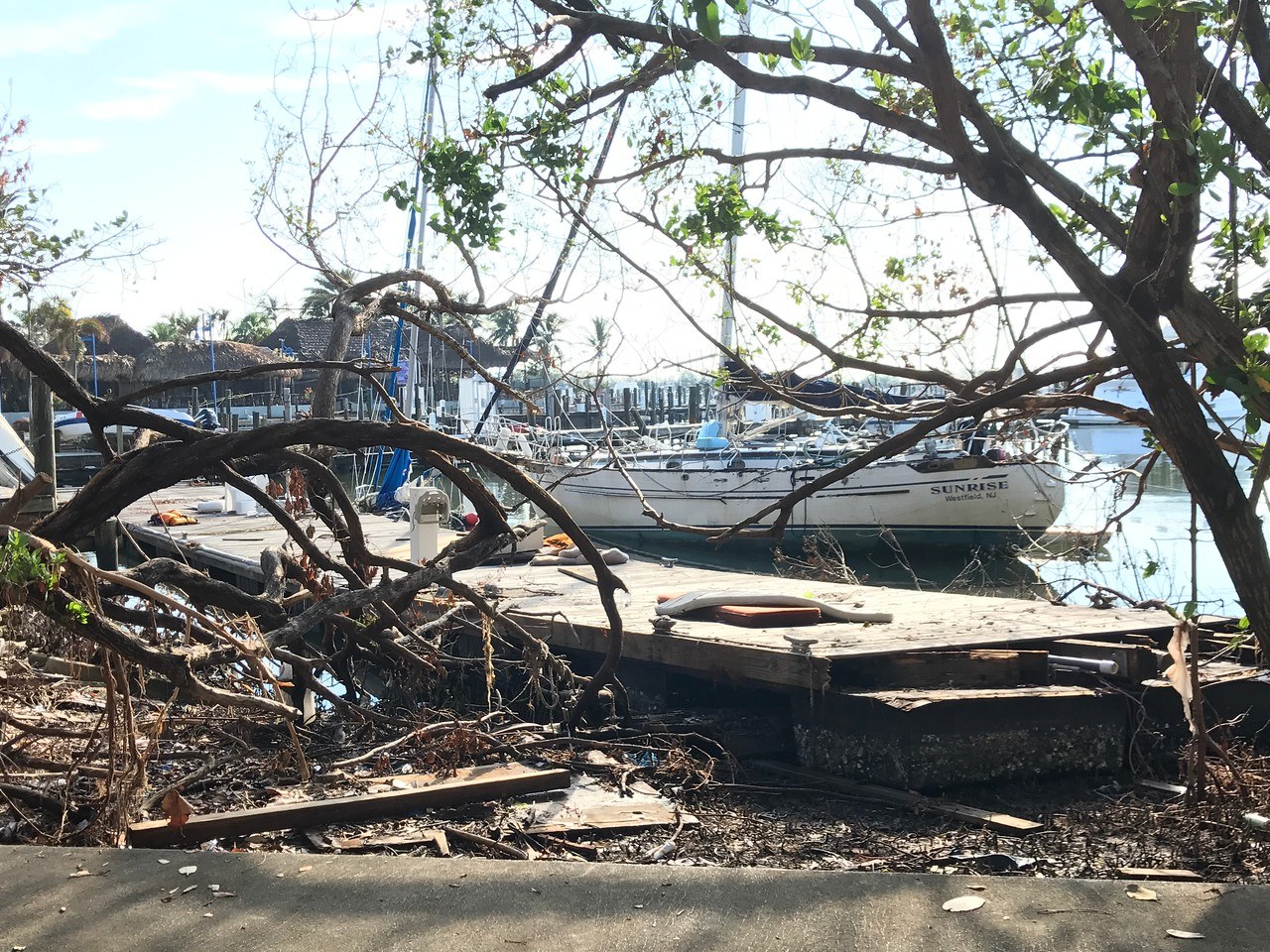 Boats and debris piled against the mangroves after Hurricane Irma