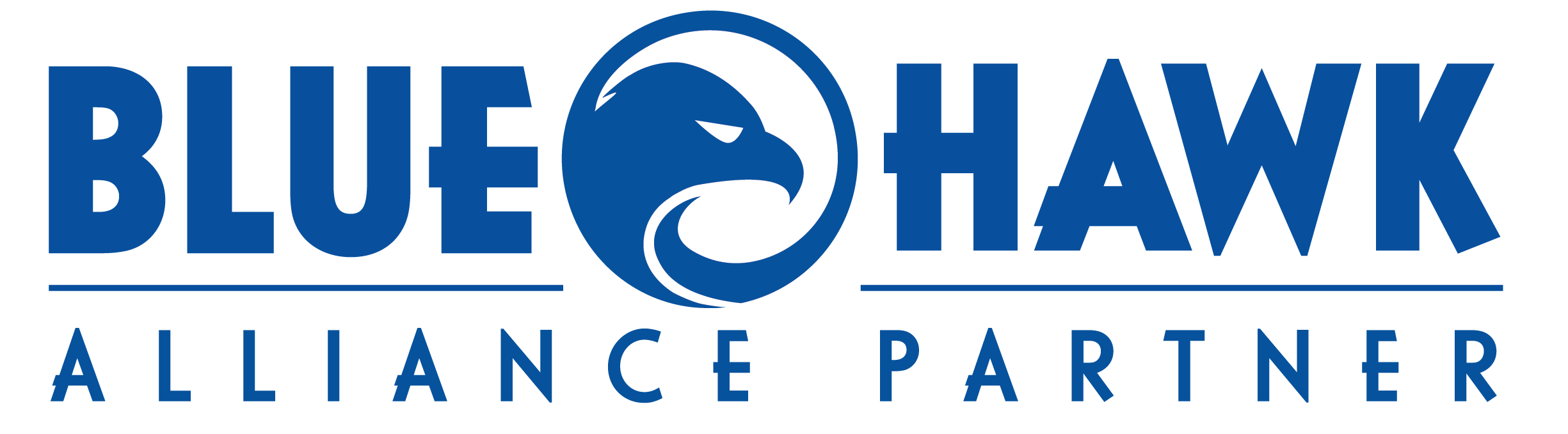 Blue Hawk logo