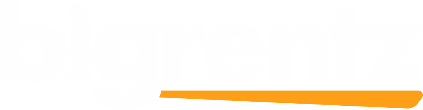 BigRentz logo