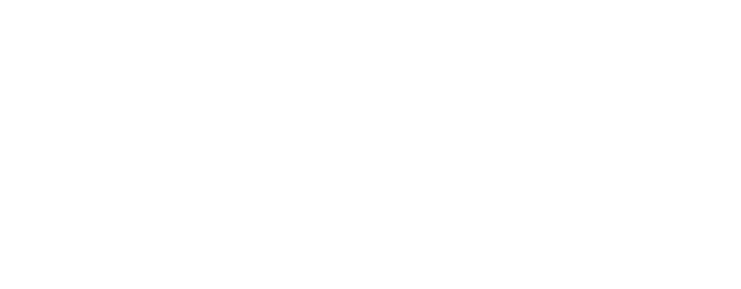 Tampa Bay Wave logo