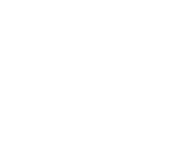 The Lexi original logo