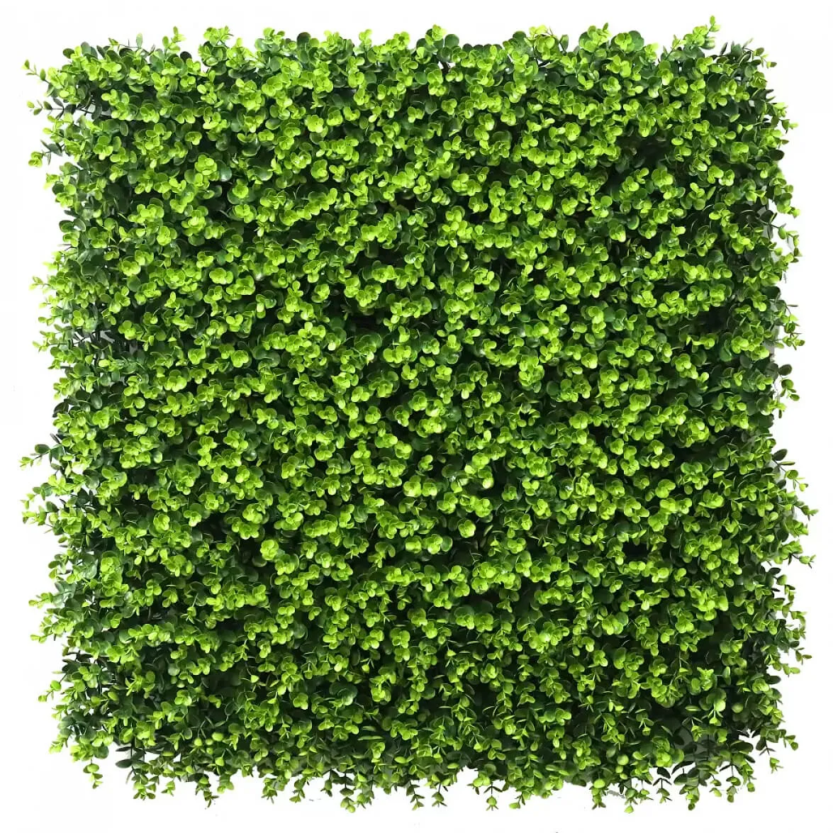 Artificial plant wall panel showing a consistent plant leaf look.