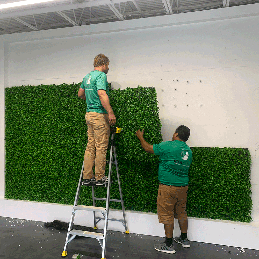 Installation sequence with a 2-man-team installing a wall of calico greens