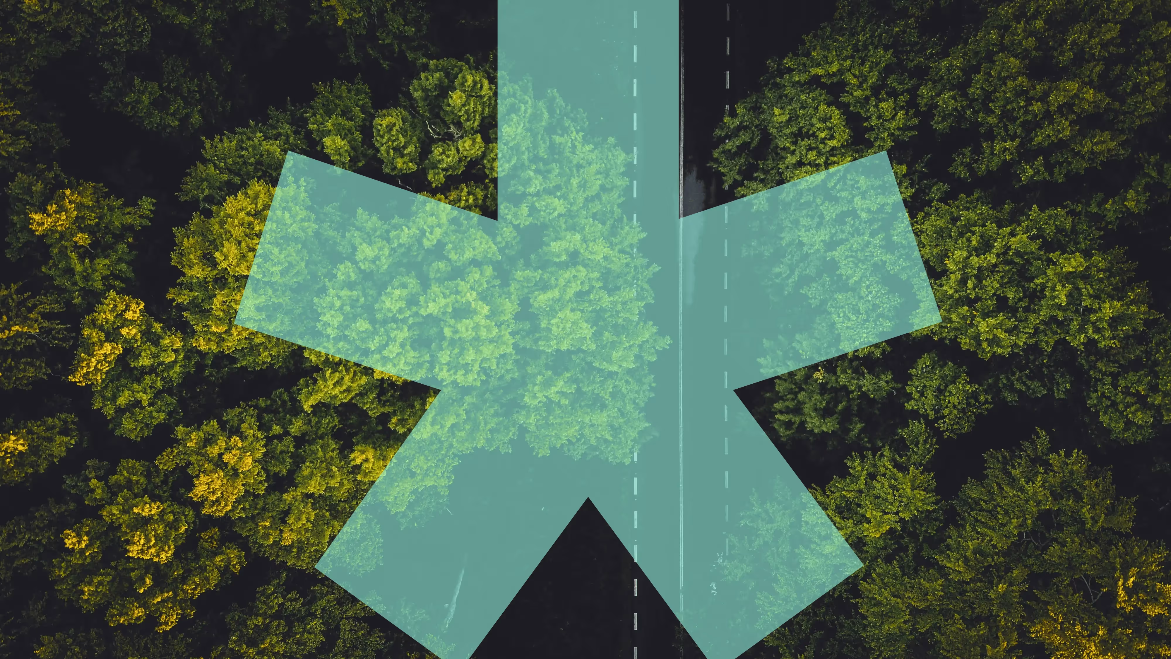 Banking on Sustainability