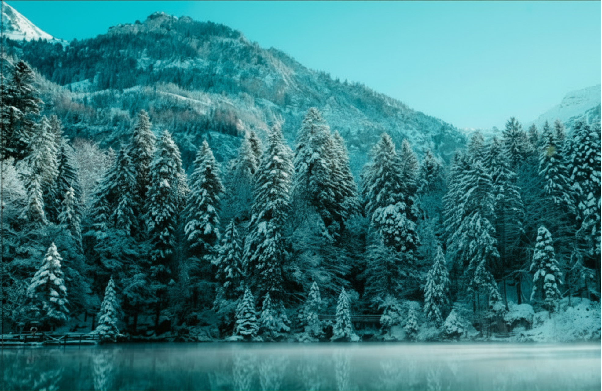 Policy Digest: December 2025