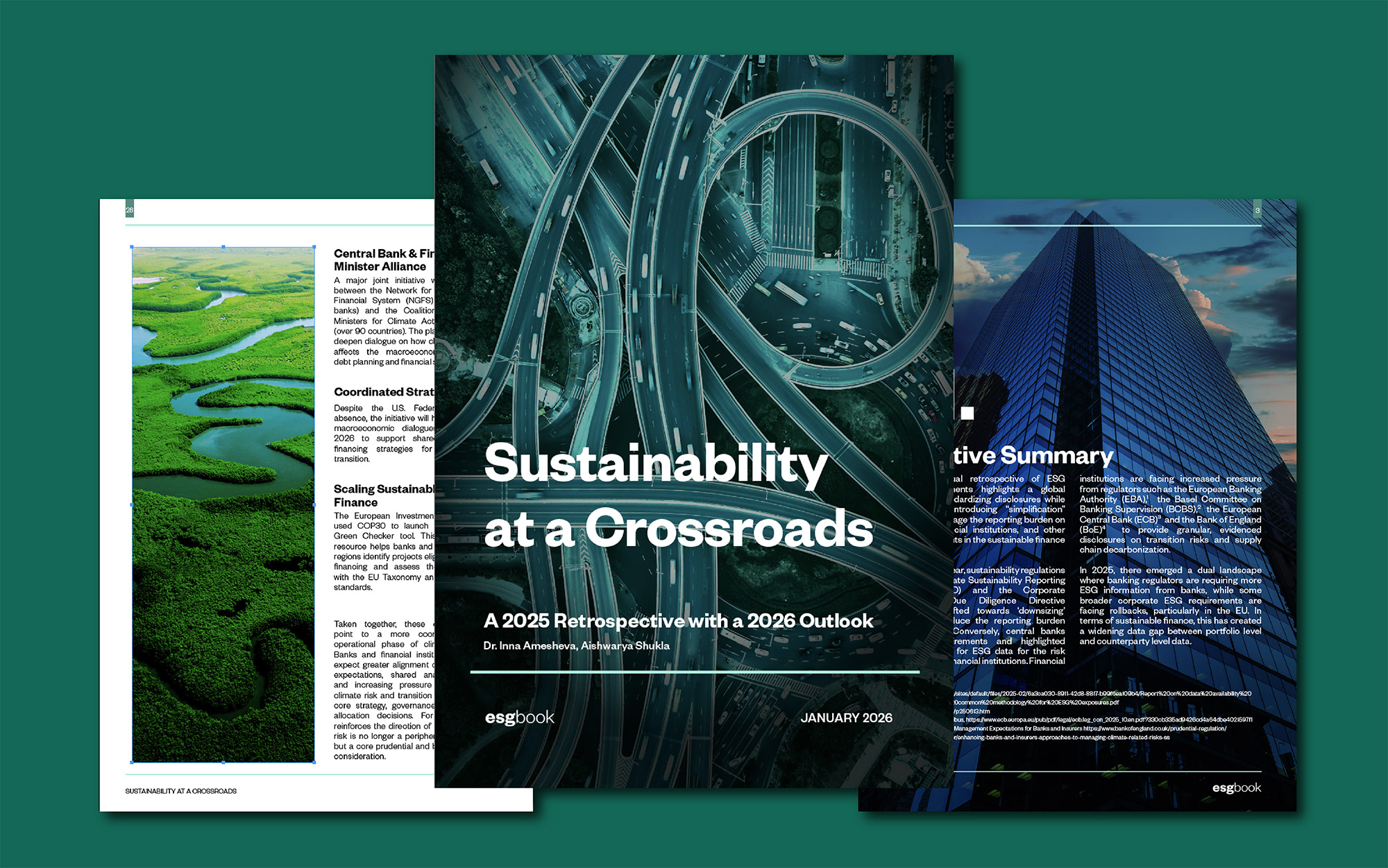 Sustainability at a Crossroads 