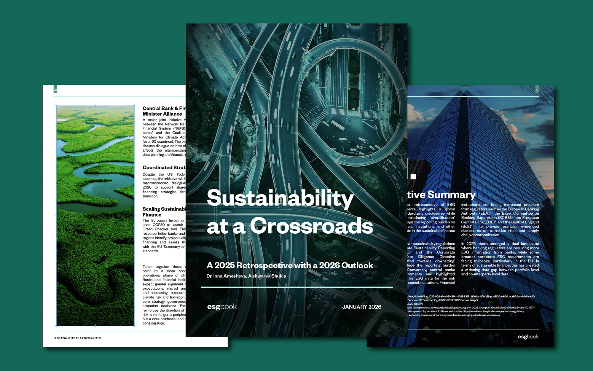 Sustainability at a Crossroads