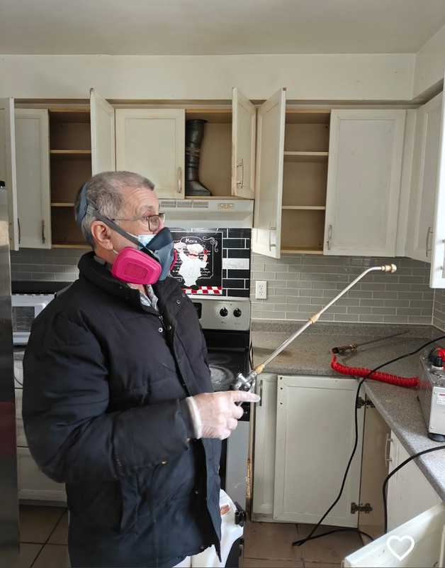 Pest Control Mississauga