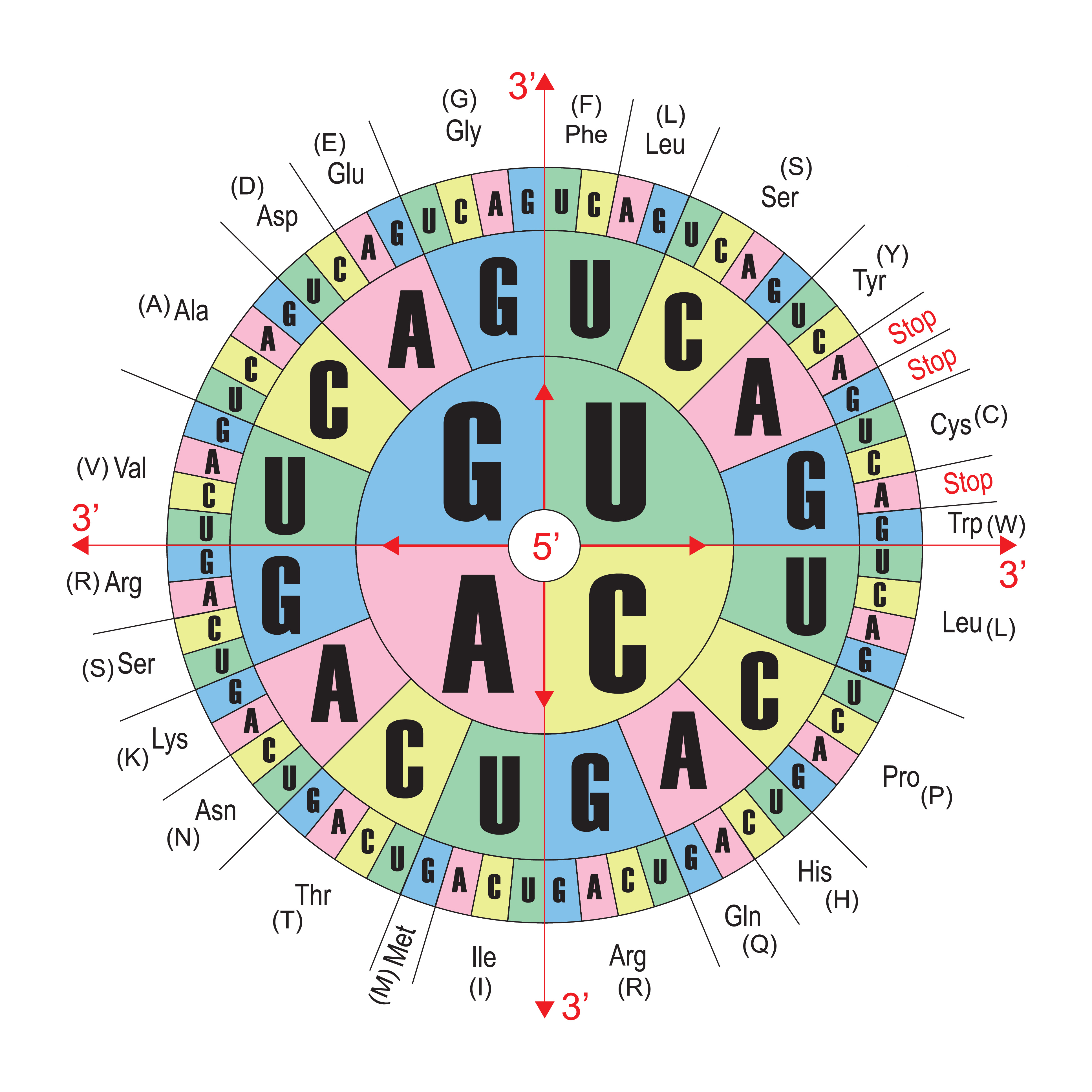 AdobeStock_500472404