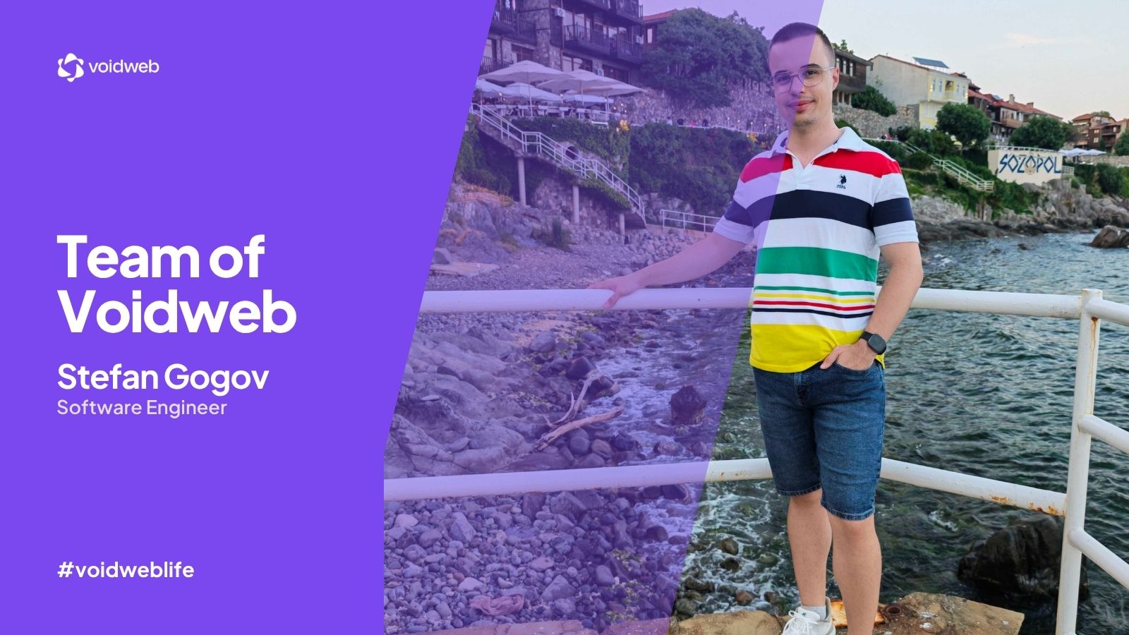Team of Voidweb: Meet Stefan Gogov