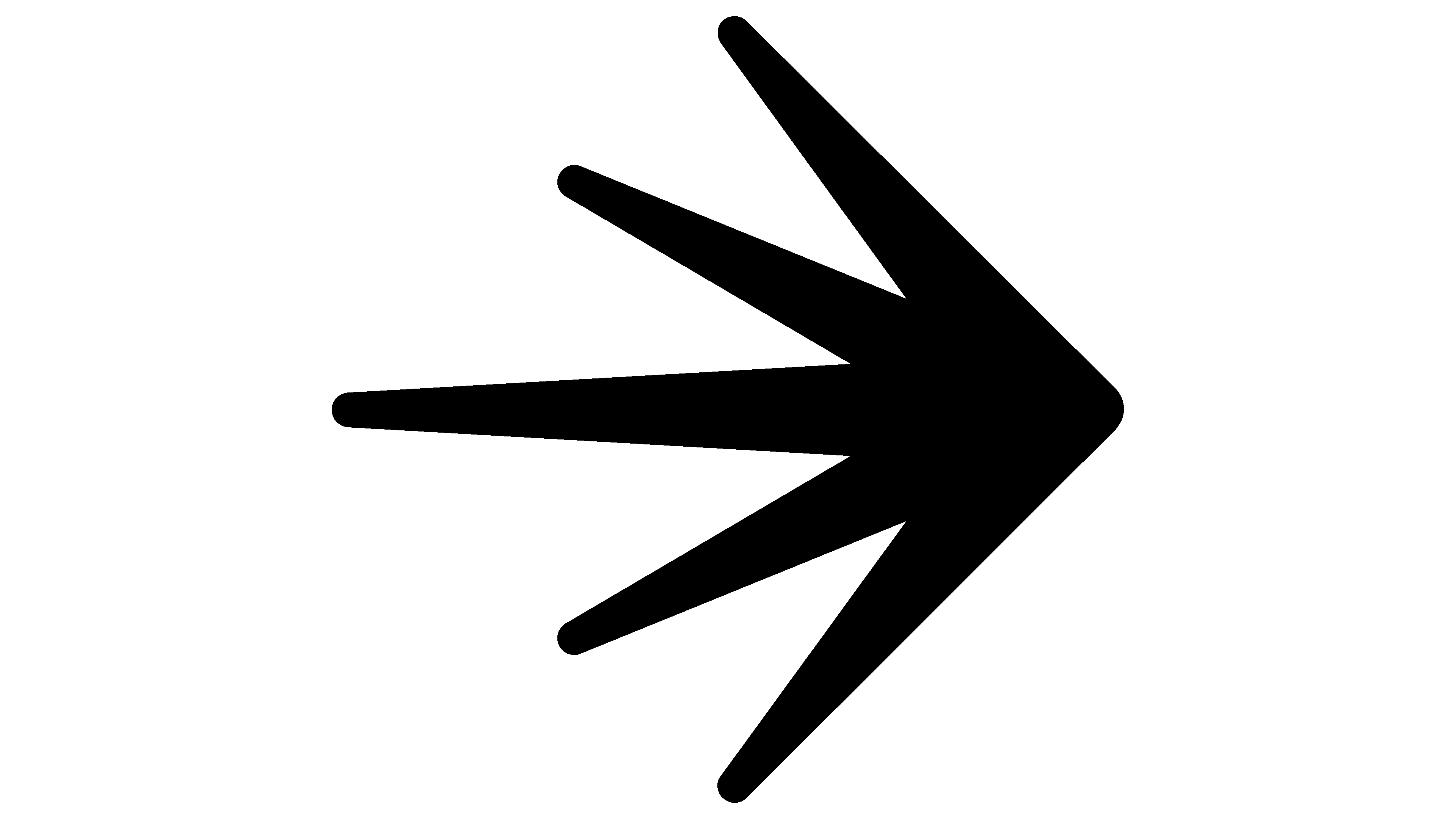 Partner