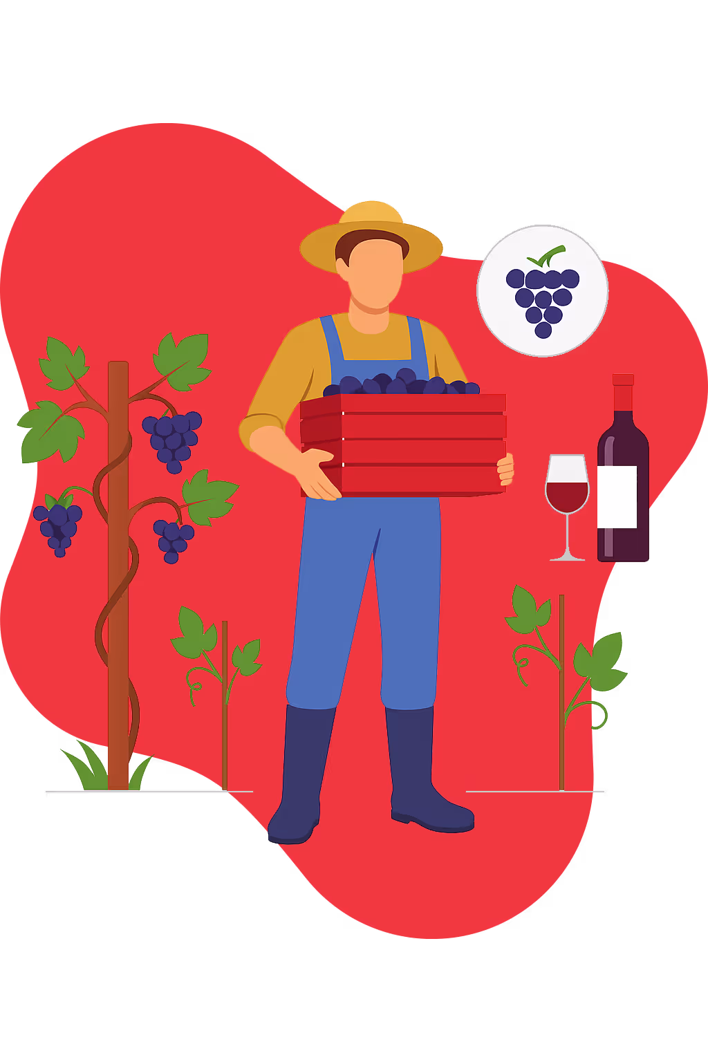 Site web pour les vigneron et les vendeurs de vins