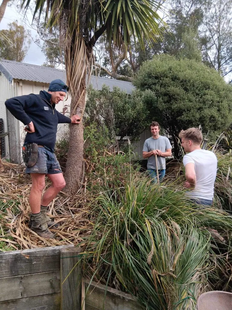 from left to right: Dad Harvey, Ed Harvey, and his brother Henry Harvey wear work clothes and lean on spades around a trench dug in the garden. Dad Harvey leans against a cabbage tree.