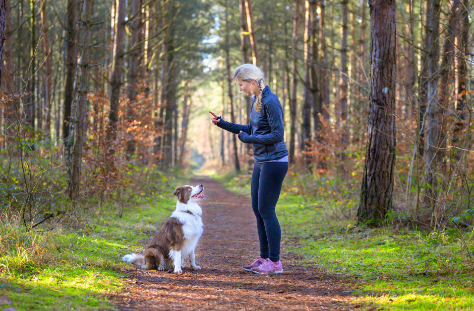 Make sure to stay consistent with your training, whether you’re at home or out on the trail.