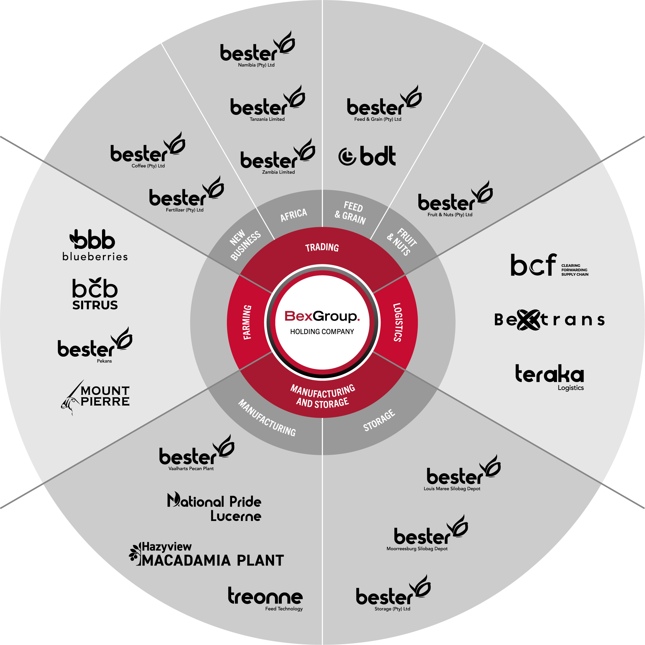 BexGroup structure image consting of trading, logistics, manufacturing and storage and farming businesses