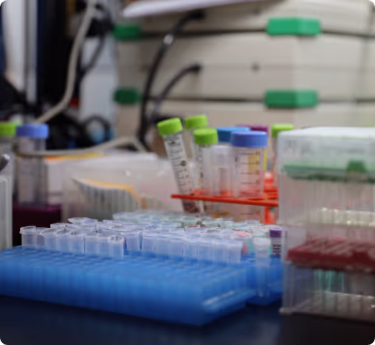 lab tools