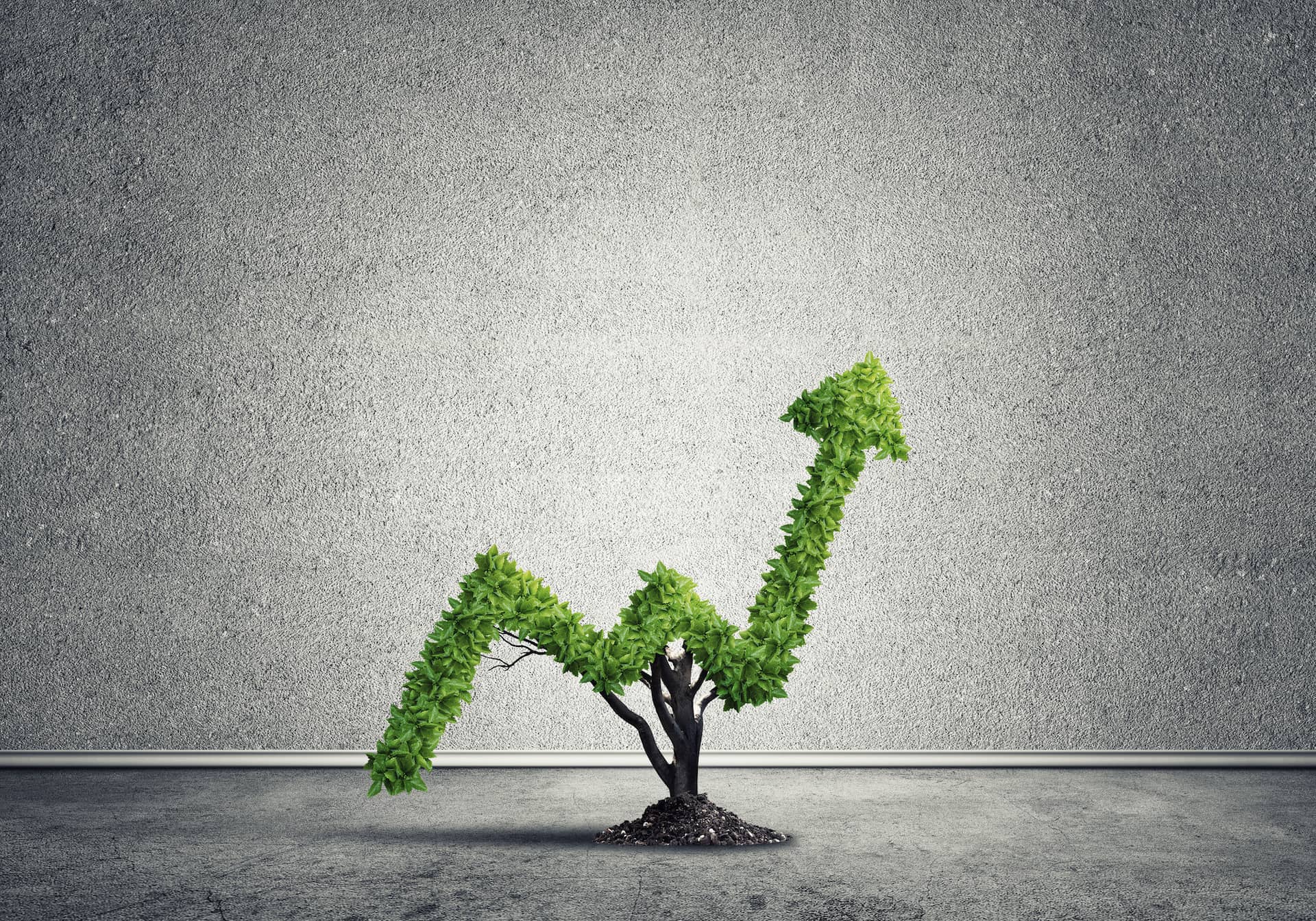 Le Sénat vote la création d'un plan épargne vert mieux rémunéré que le Livret A