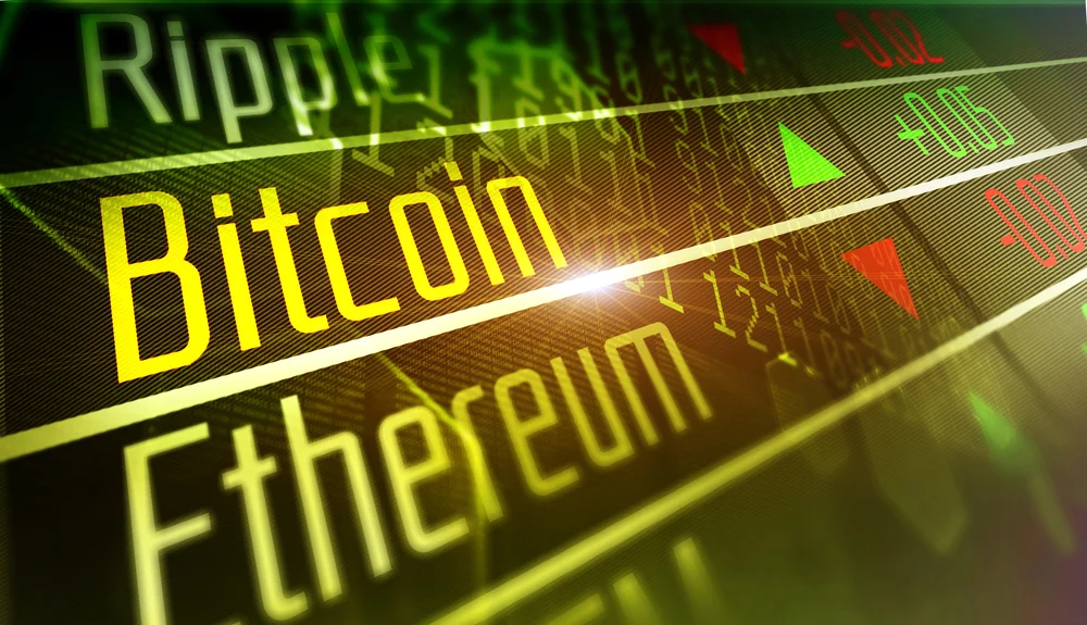 crypto jeunes investisseurs