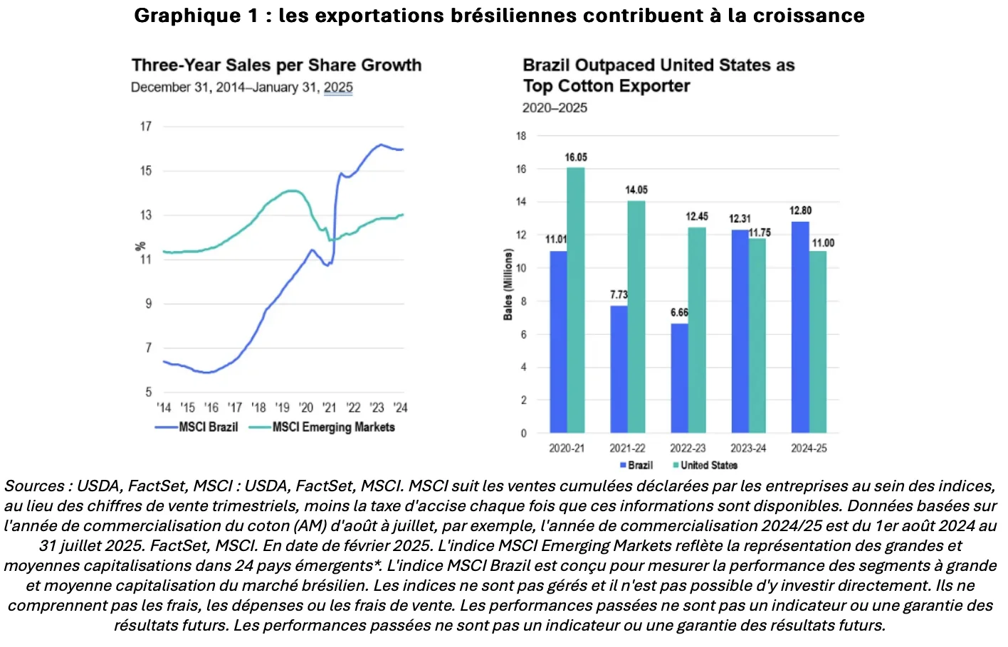 exportations brésil