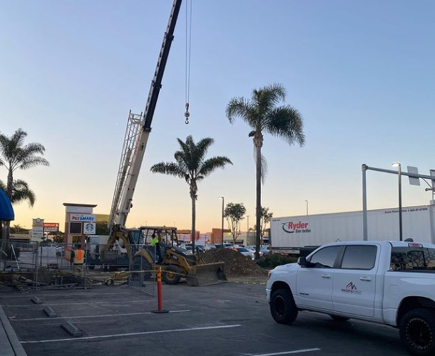 A crane lifting a palm tree in a parking lot for landscaping purposes.