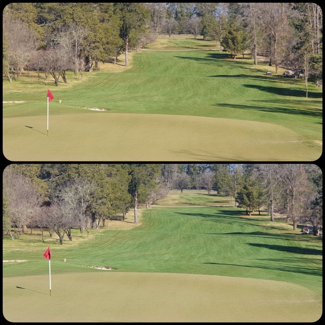 Vertmax Turf pigment at Royal Canberra Golf Club