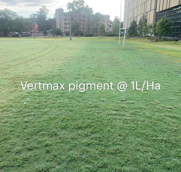 Vertmax Pigment on Kikuyu grass at Sydney University
