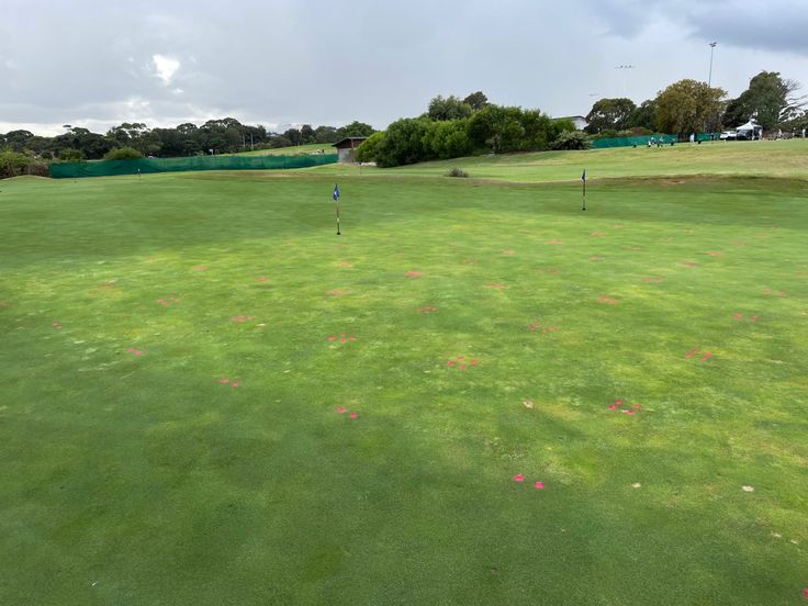 Soil wetting agent trial at Bonnie Doon Golf Club
