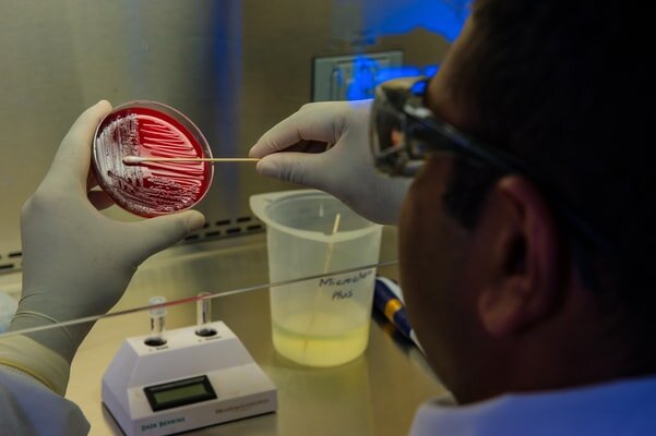 a photo of scientist scraping petri dish