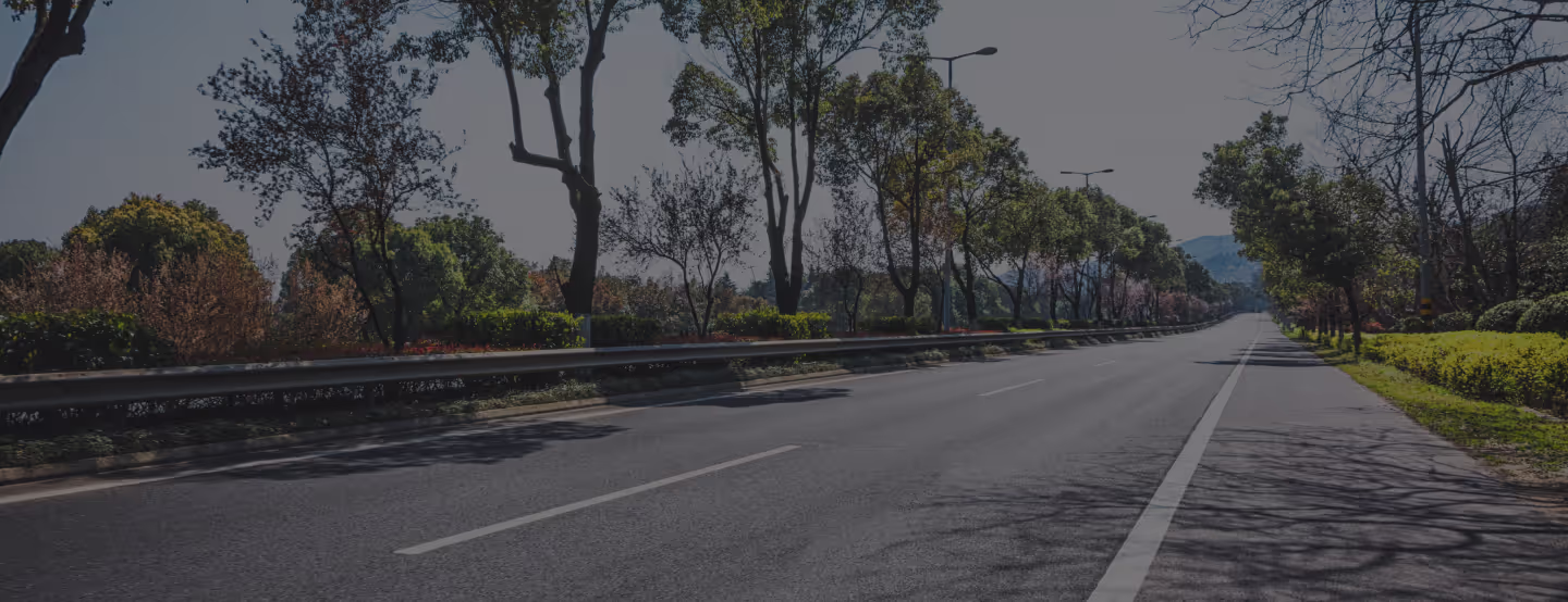 Road with colorful trees around
