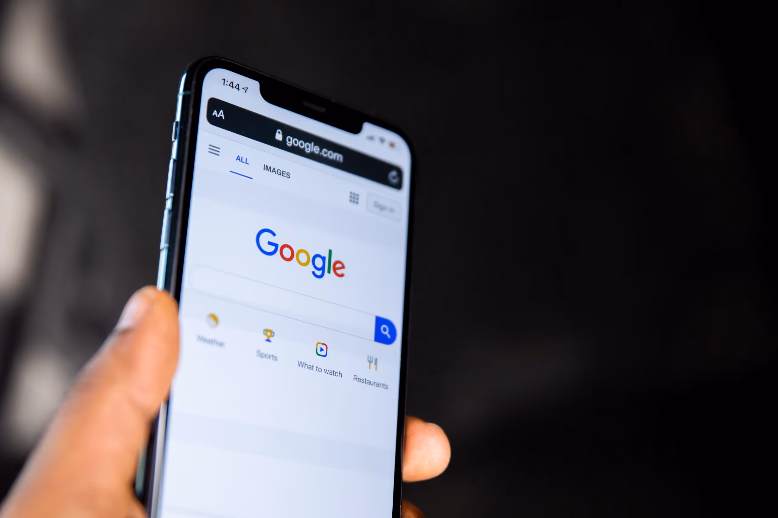 google search box