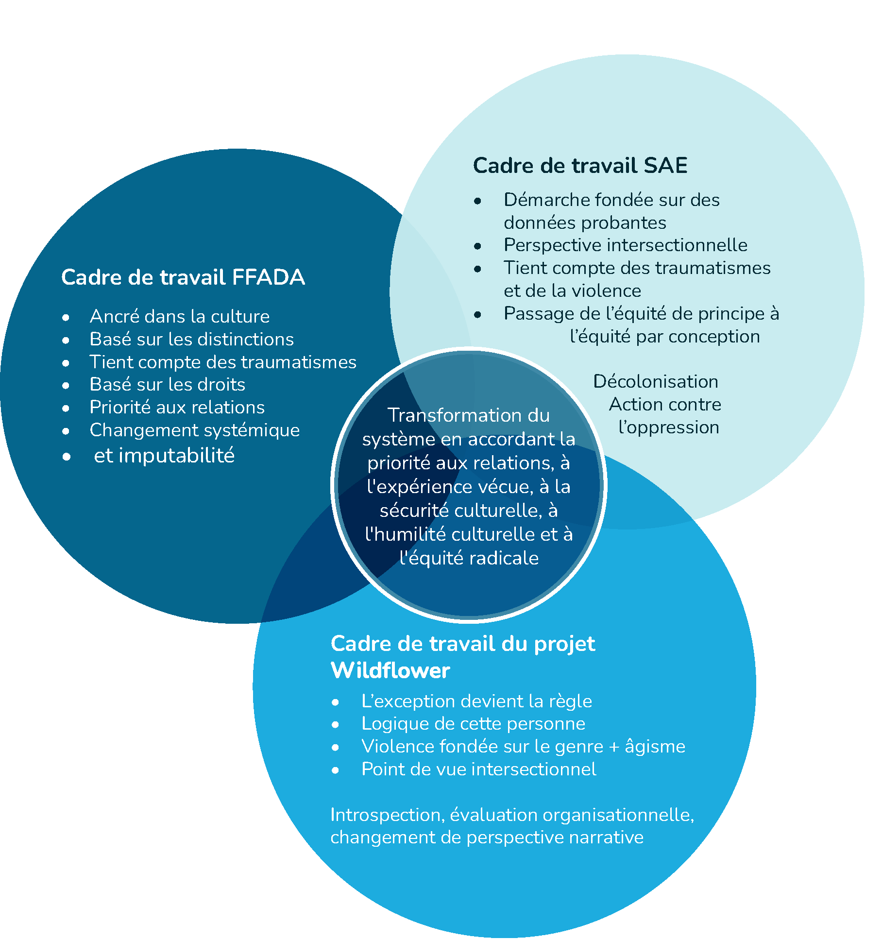 Venn diagram illustrating three work frameworks: FFADA emphasizing culture, systemic change, and accountability; SAE focusing on evidence-based approach, intersectionality, trauma, and equity by design; Wildflower project highlighting exception as rule, personal logic, gender and age-based violence, and intersectional viewpoint; center overlap notes system transformation prioritizing relationships, lived experience, cultural safety, humility, and radical equity.