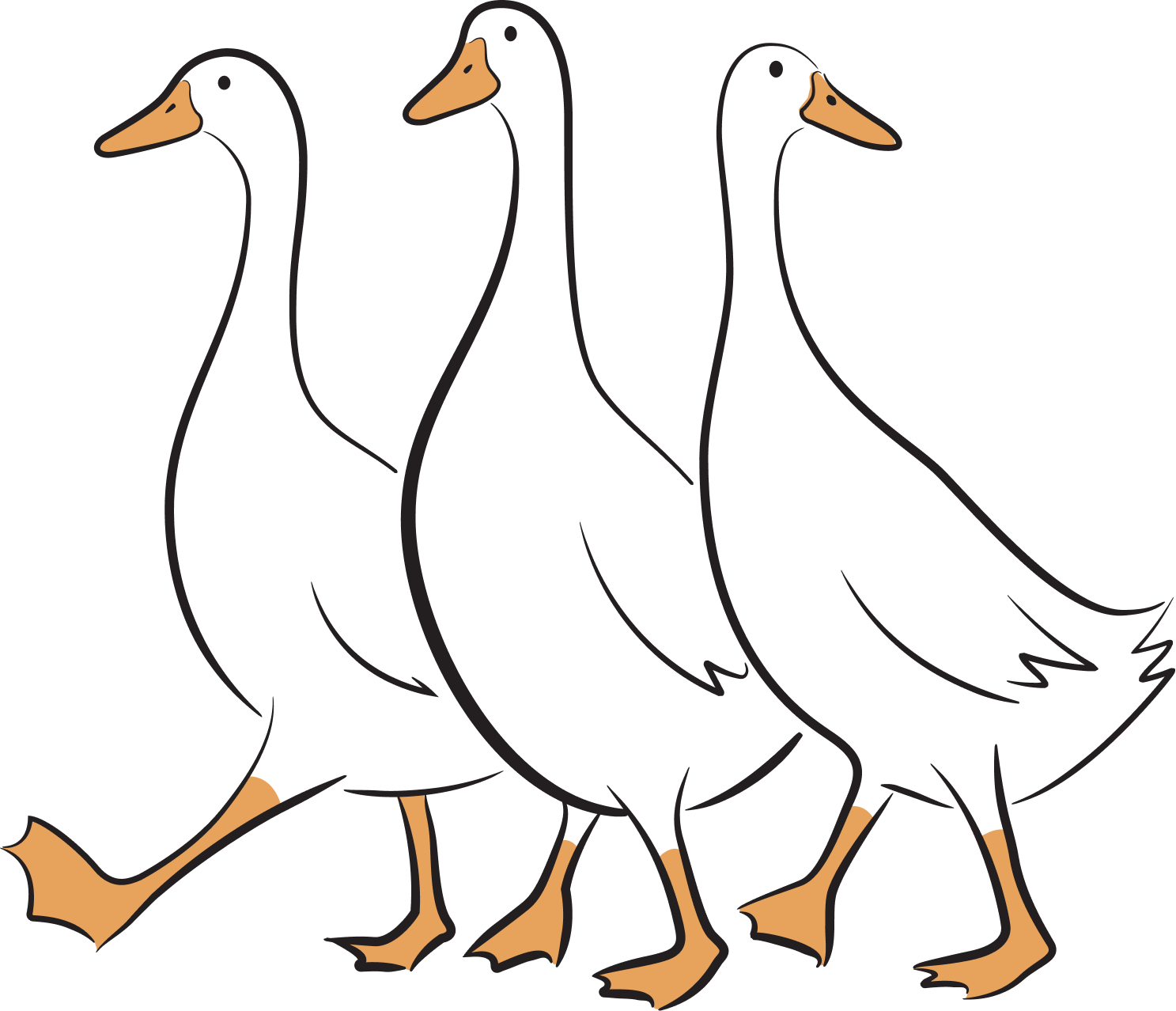 3 ducks waddling