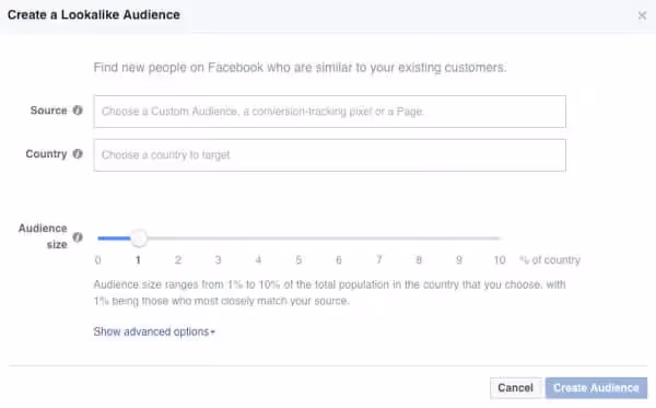 Facebook Ads - Lookalike Audience interface