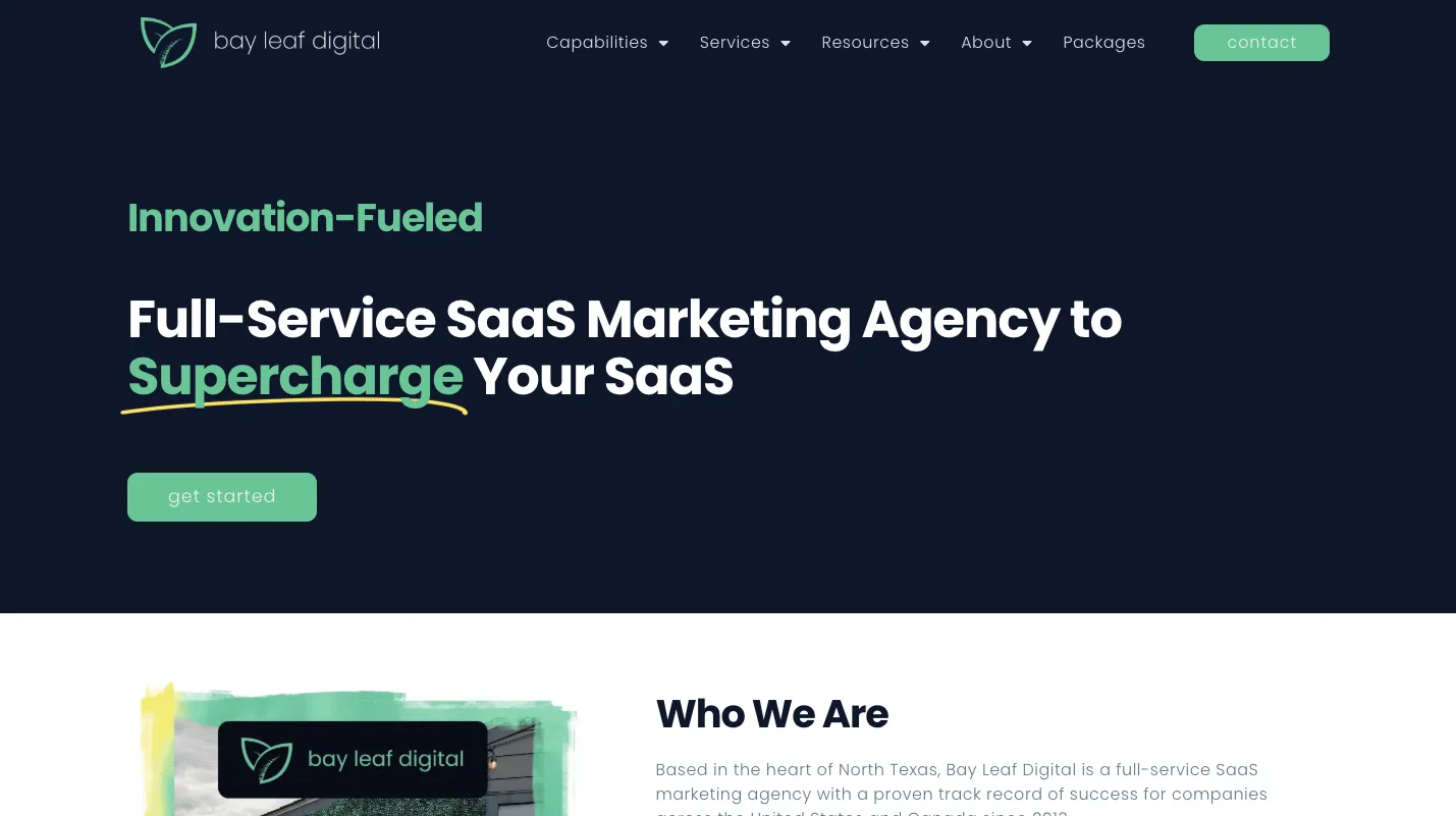 Bayleaf Digital Top Marketing Agencies for Startups & How to Choose One