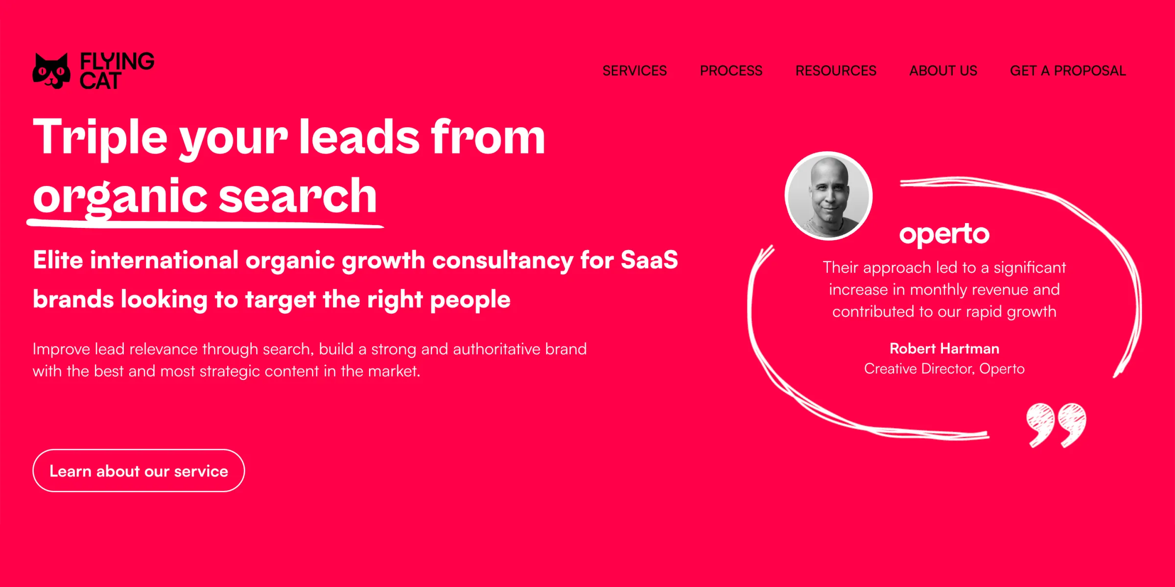 Website screenshot: Flying Cat