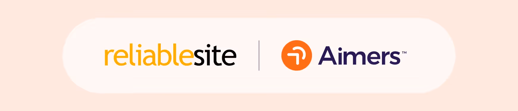How We 4x’ed Non-Branded Sales and Cut Branded Costs by 64% for ReliableSite