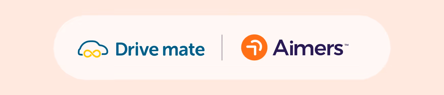 Drive Mate logo