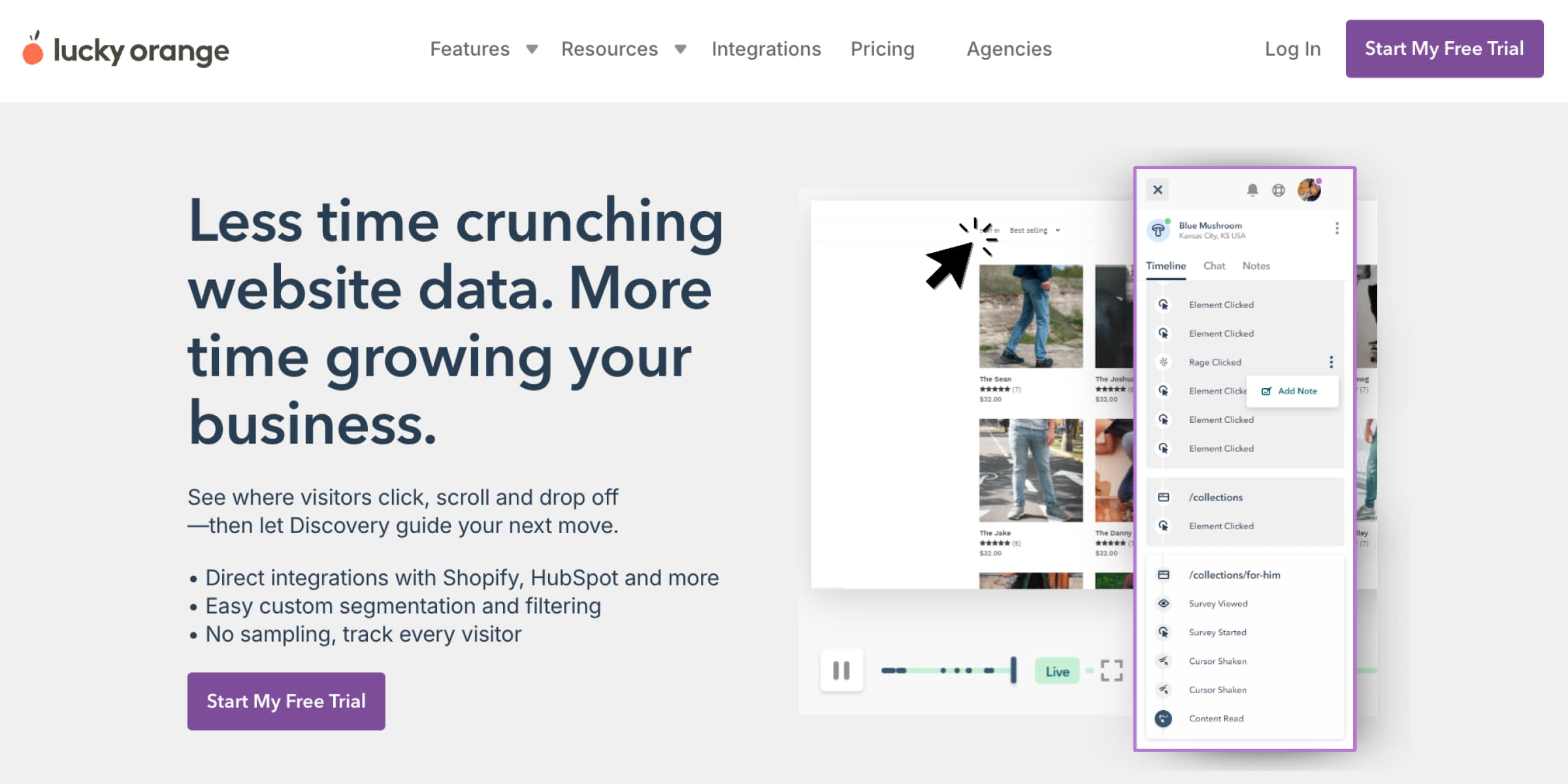 Lucky Orange homepage