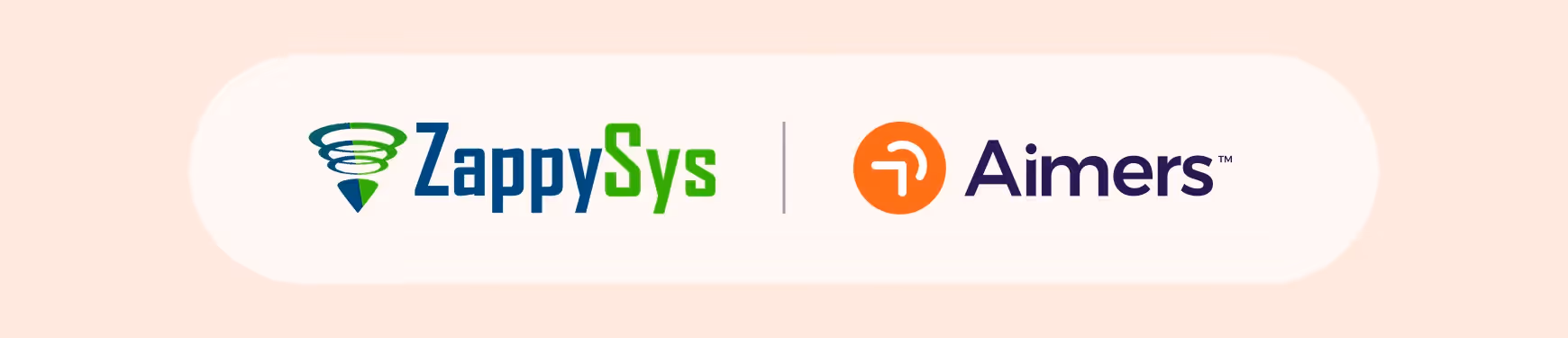 How We Improved Lead Quality and Reduced CPA for ZappySys Through Google Ads Optimization