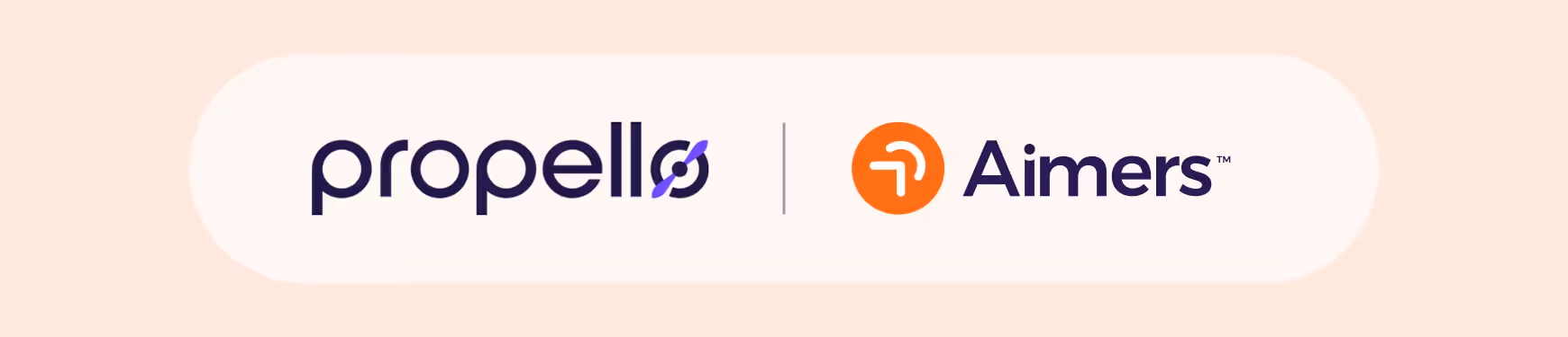 How a Demo Video Drove User Engagement for Propello's website