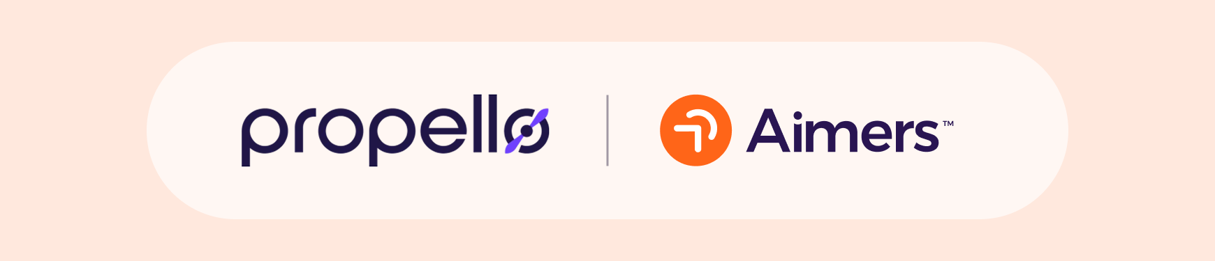 How a Demo Video Drove User Engagement for Propello's website