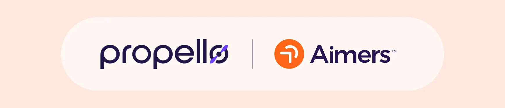 How a Demo Video Drove User Engagement for Propello's website